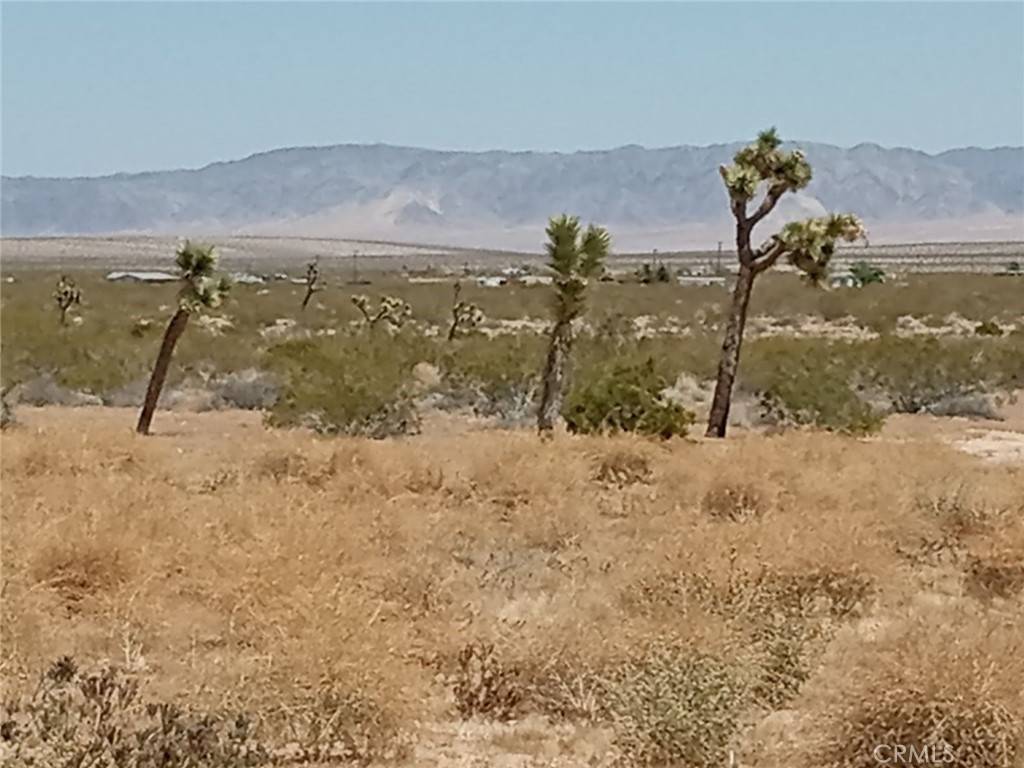 Landers, CA 92285,408 Stable RD