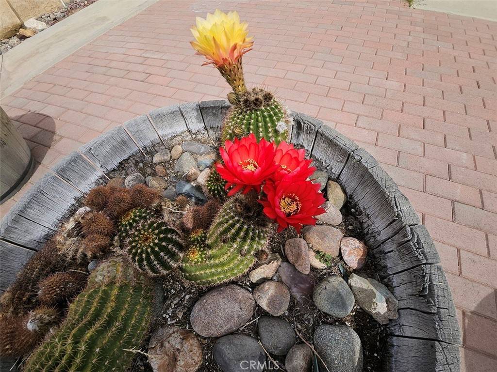 Apple Valley, CA 92308,11620 Locust LN