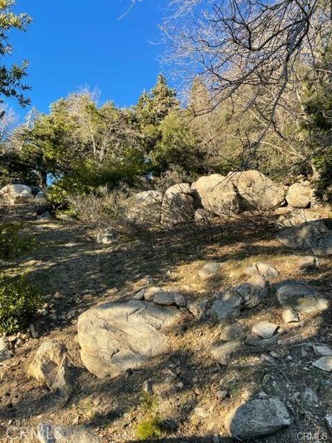 Cedarpines Park, CA 92322,0 Peak CIR