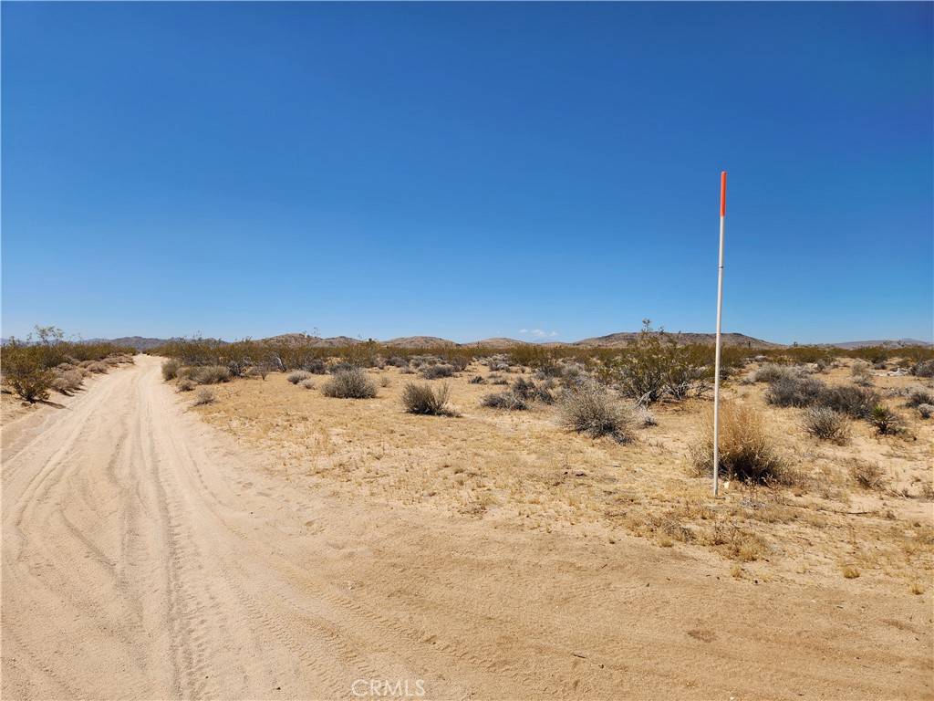 Joshua Tree, CA 92252,40 AC Joshua Tree