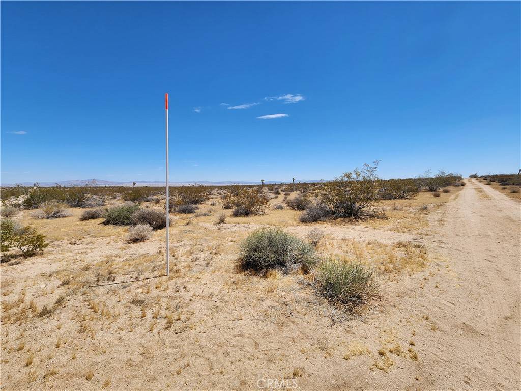 Joshua Tree, CA 92252,15 AC Bowman TRL