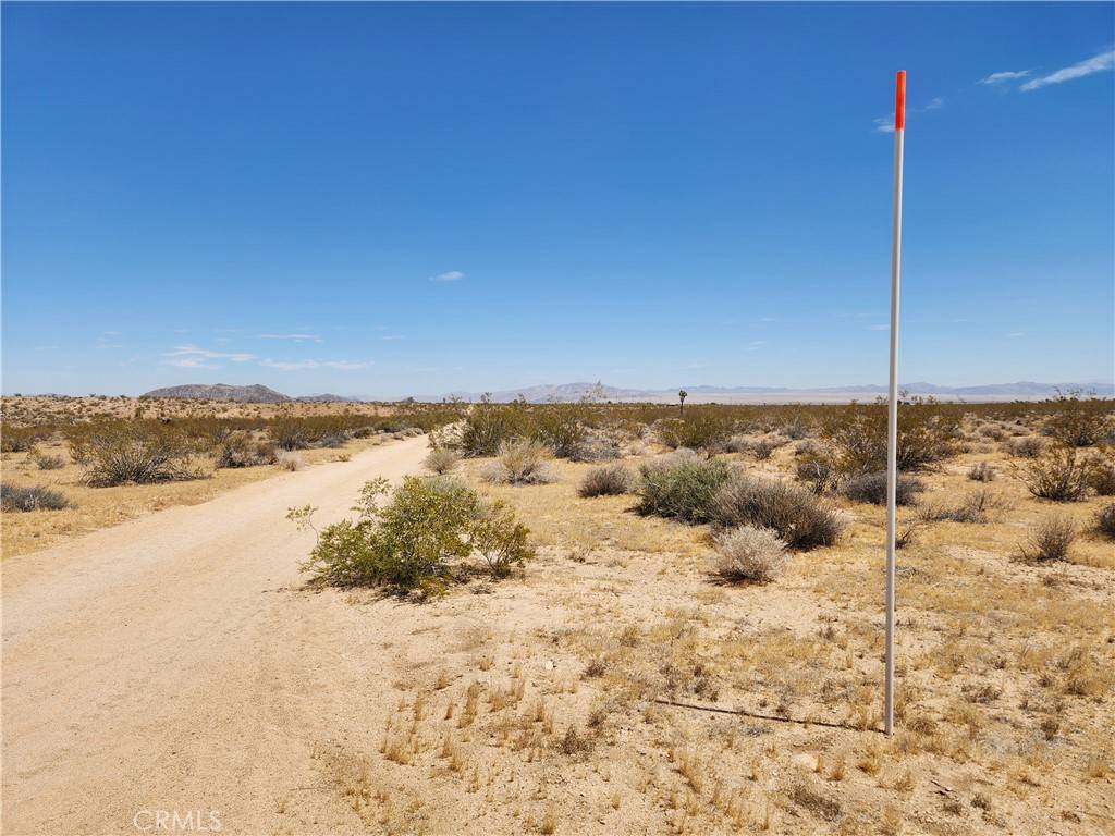 Joshua Tree, CA 92252,15 AC Bowman TRL