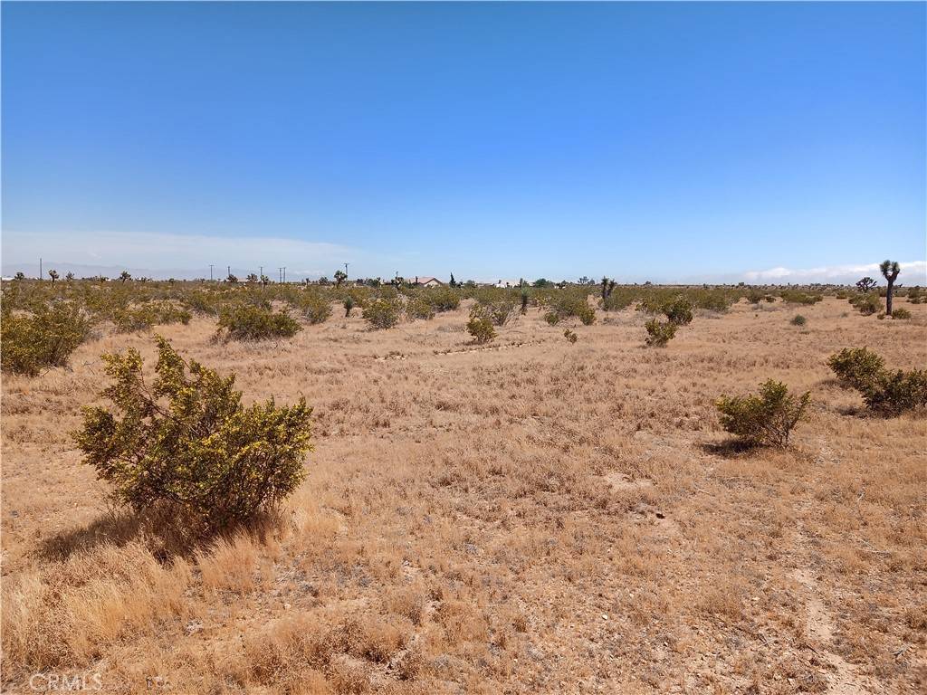 Phelan, CA 92371,0 Nyack RD