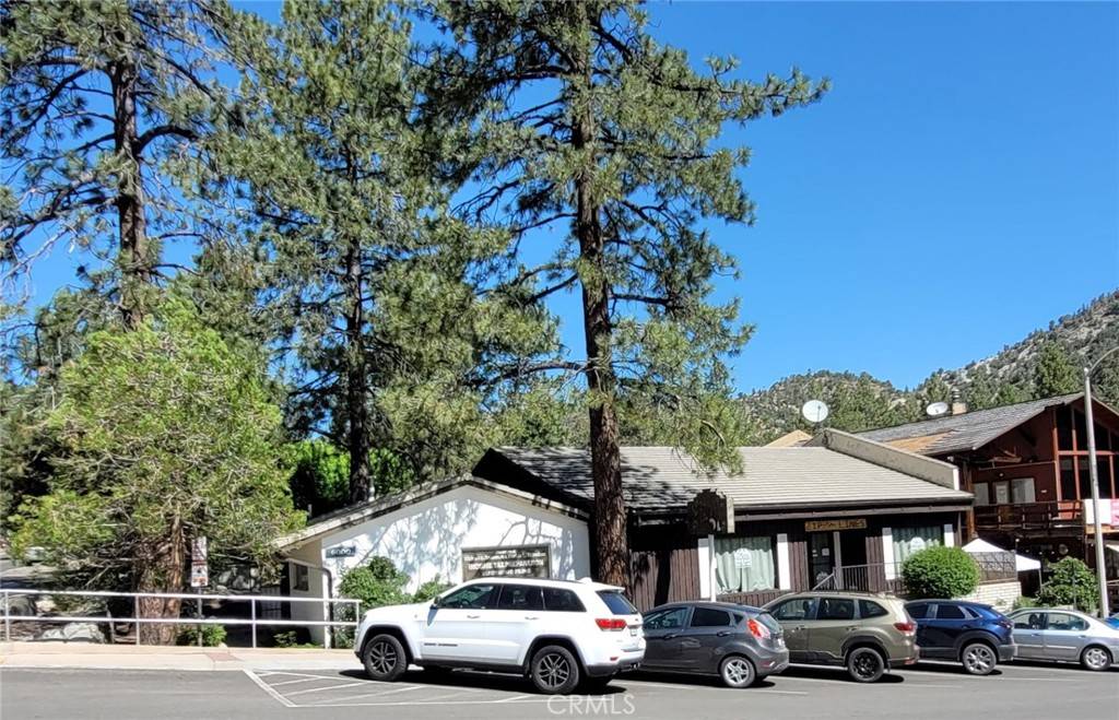 Wrightwood, CA 92397,6014 Park DR