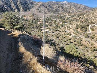 Wrightwood, CA 92397,3036 39105 Scenic DR