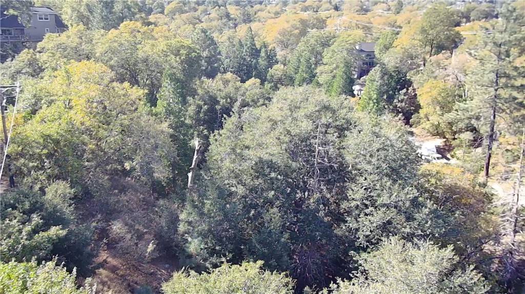 Lake Arrowhead, CA 92352,1 Moon DR