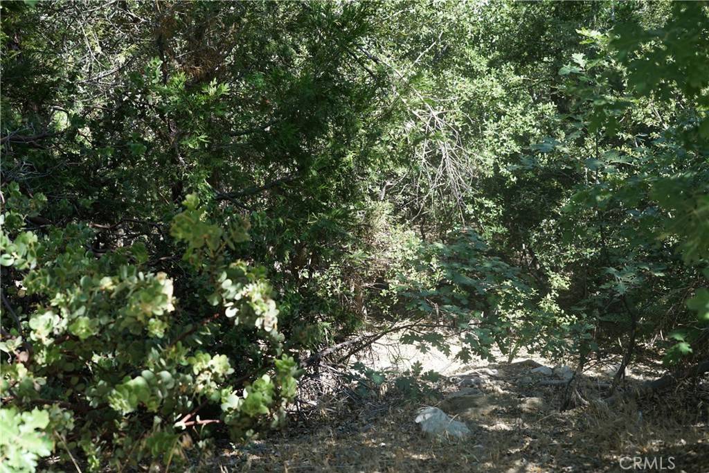 Lake Arrowhead, CA 92352,3 Moon DR