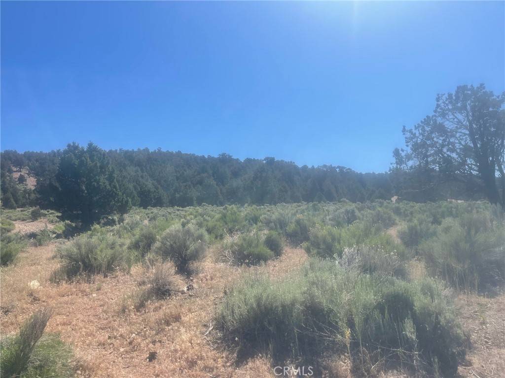 Big Bear City, CA 92314,0 Avenue E