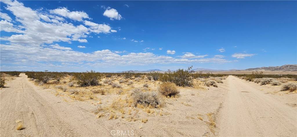 Johnson Valley, CA 92285,800 Firethorn WAY