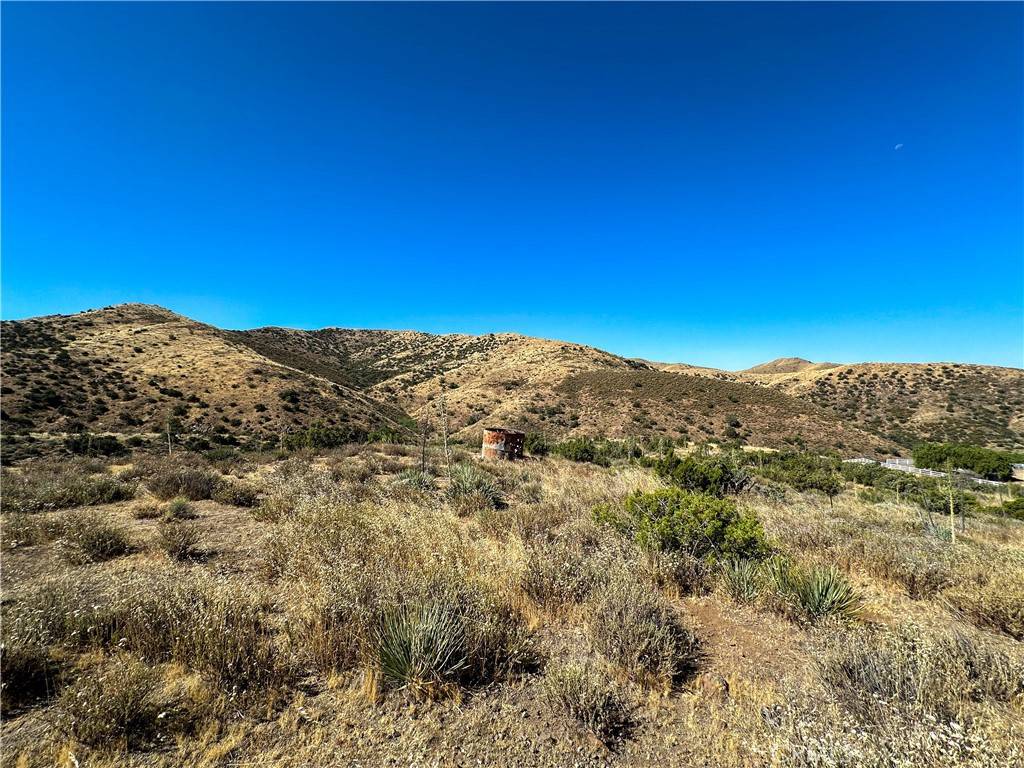 Agua Dulce, CA 91350,0 Big Springs RD