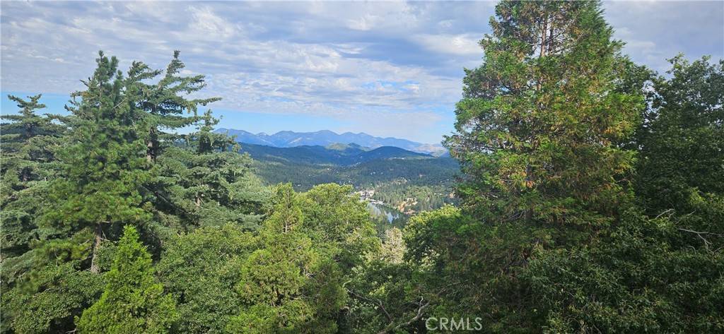 Crestline, CA 92325,830 Chamois DR