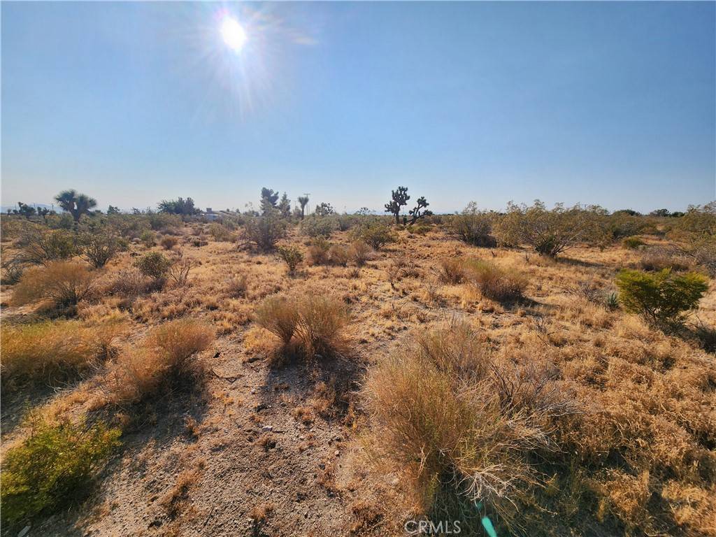 Phelan, CA 92371,0 Marco RD