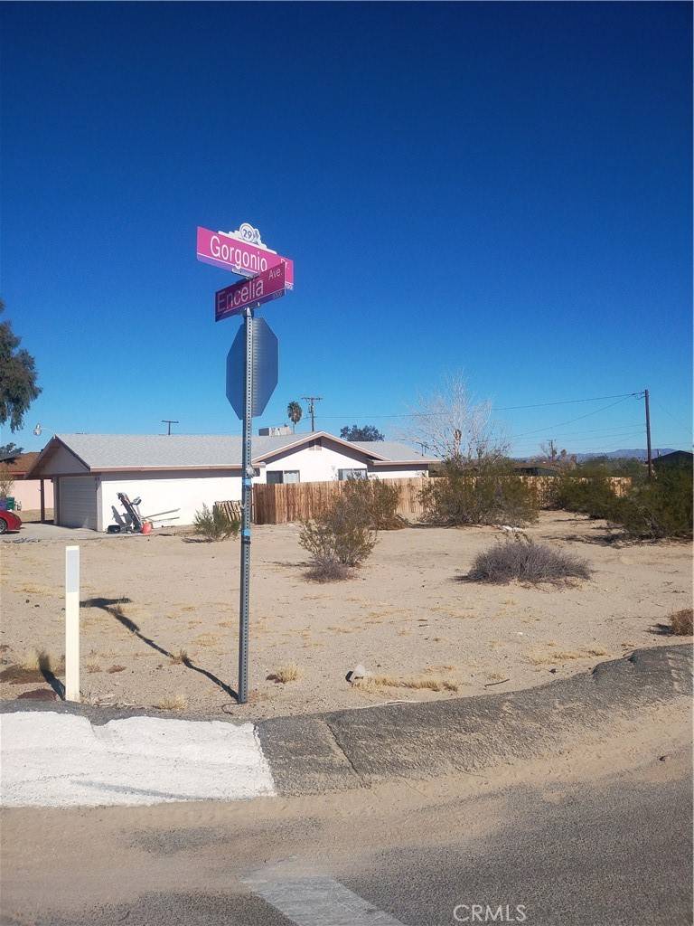 29 Palms, CA 92277,0 Encelia AVE