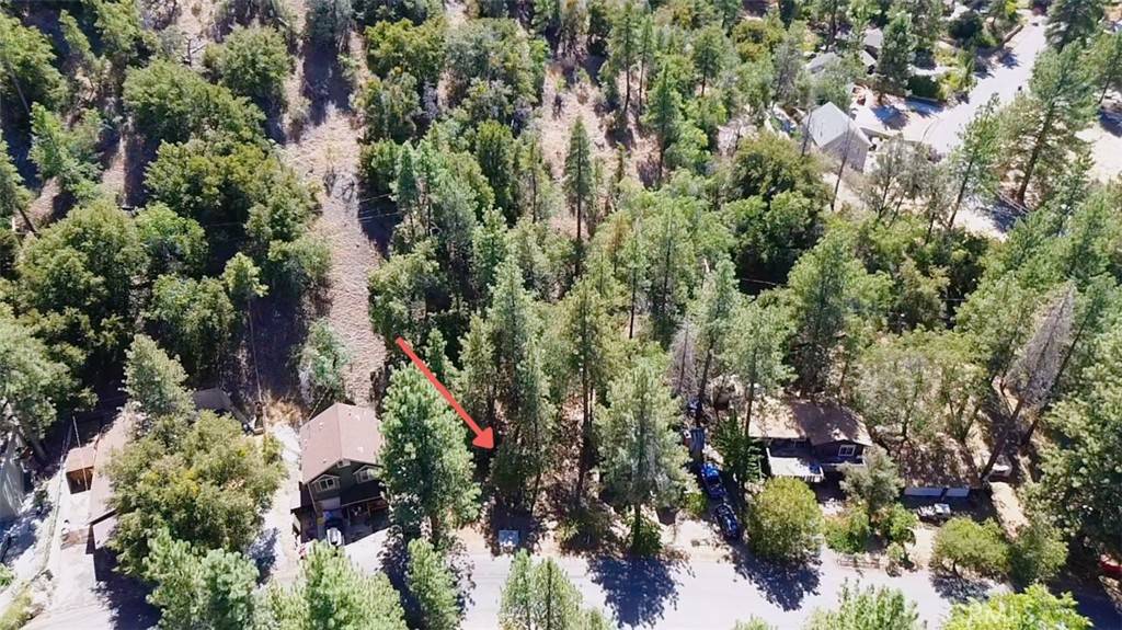 Wrightwood, CA 92397,5462 Heath Creek Dr