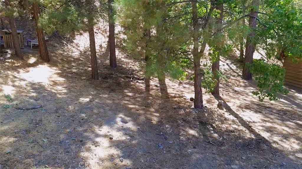 Wrightwood, CA 92397,5462 Heath Creek Dr