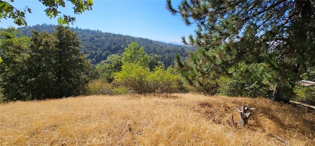 Crestline, CA 92325,0 Edelweiss DR