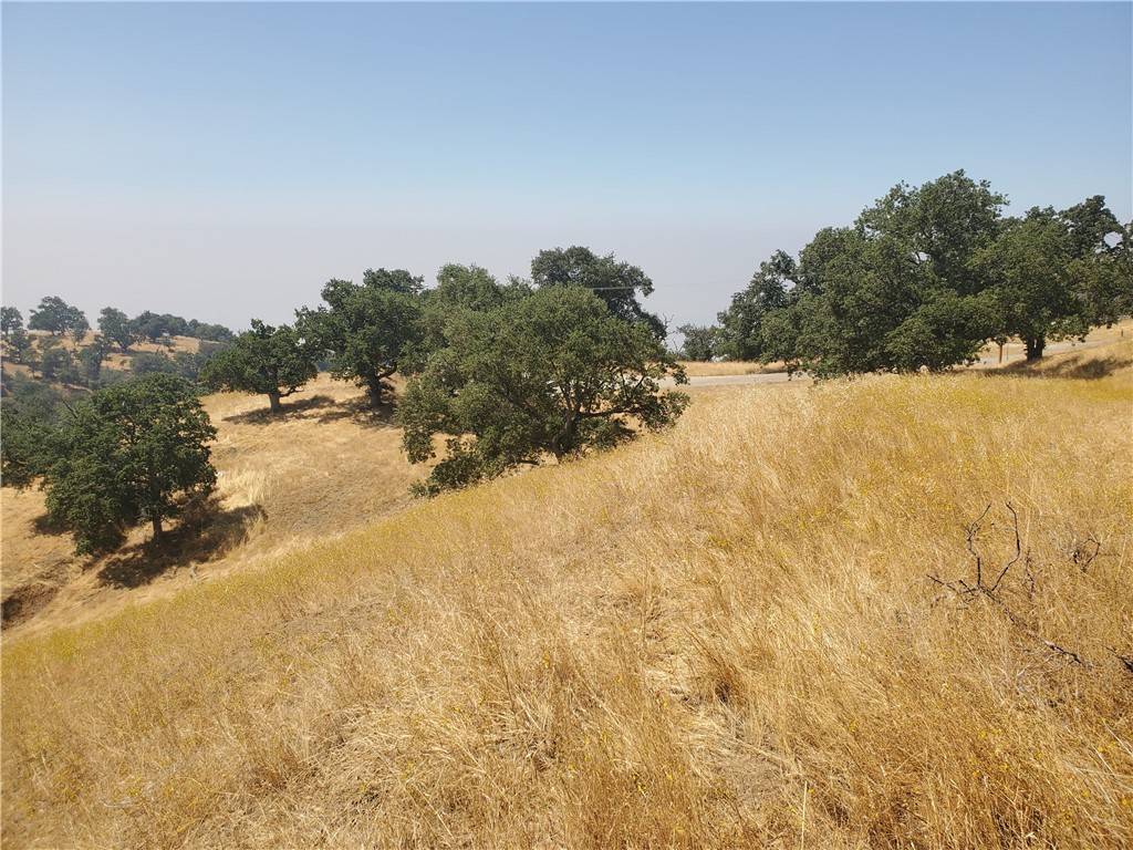 Tehachapi, CA 93561,26301 ** Hazelwood ** CT