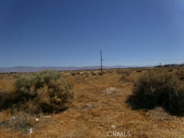 Apple Valley, CA 92307,0 WIGWAM