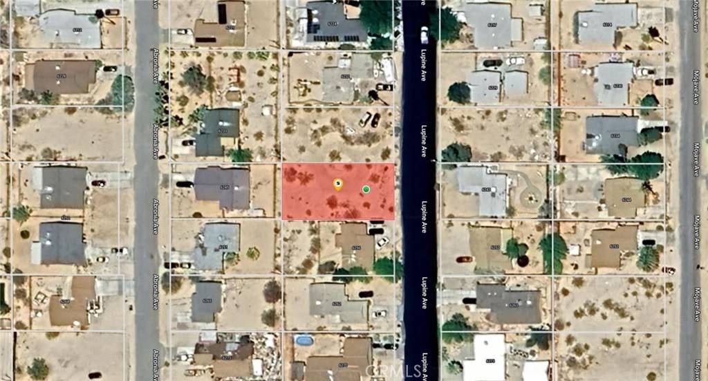 29 Palms, CA 92277,0 Lupine