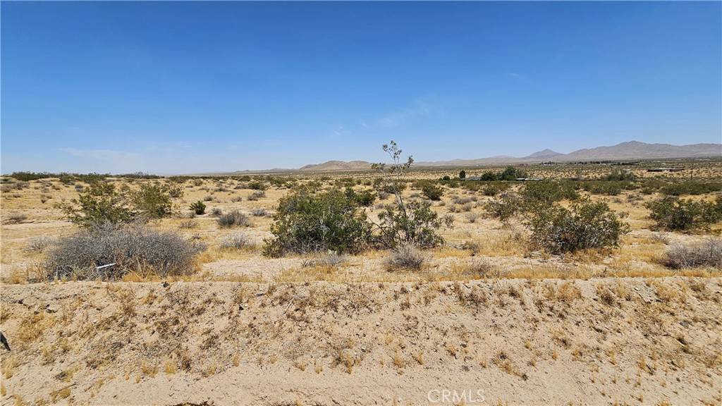 Helendale, CA 92342,1 Buckhorn Trail