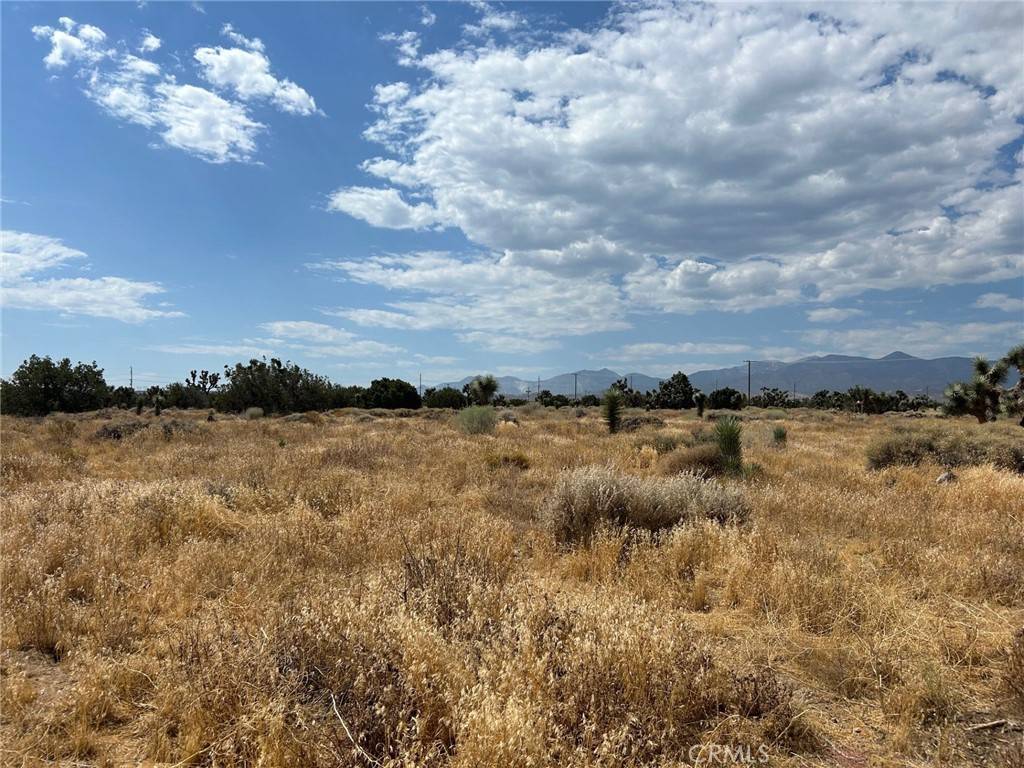 Phelan, CA 92371,0 White Fox Trail