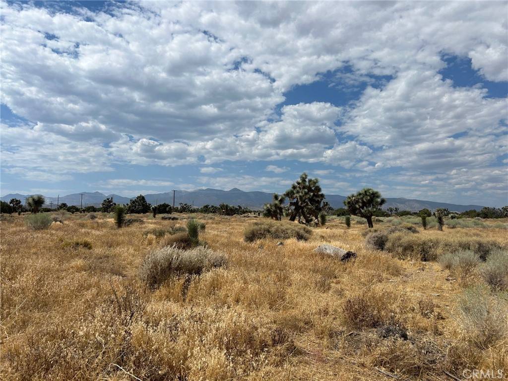 Phelan, CA 92371,0 White Fox Trail