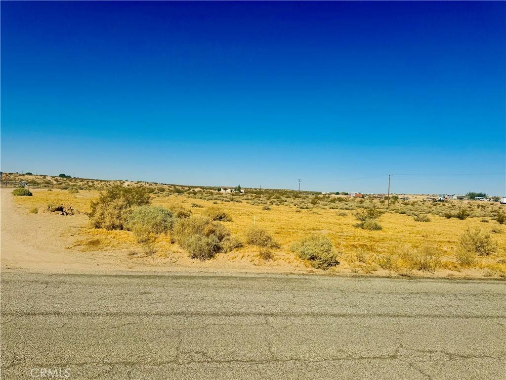 Helendale, CA 92342,0 Rodeo RD