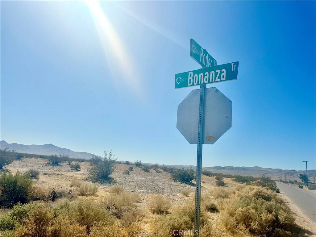 Helendale, CA 92342,28032 Rodeo RD