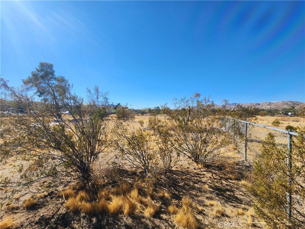 Yucca Valley, CA 92284,56646 Antelope TRL