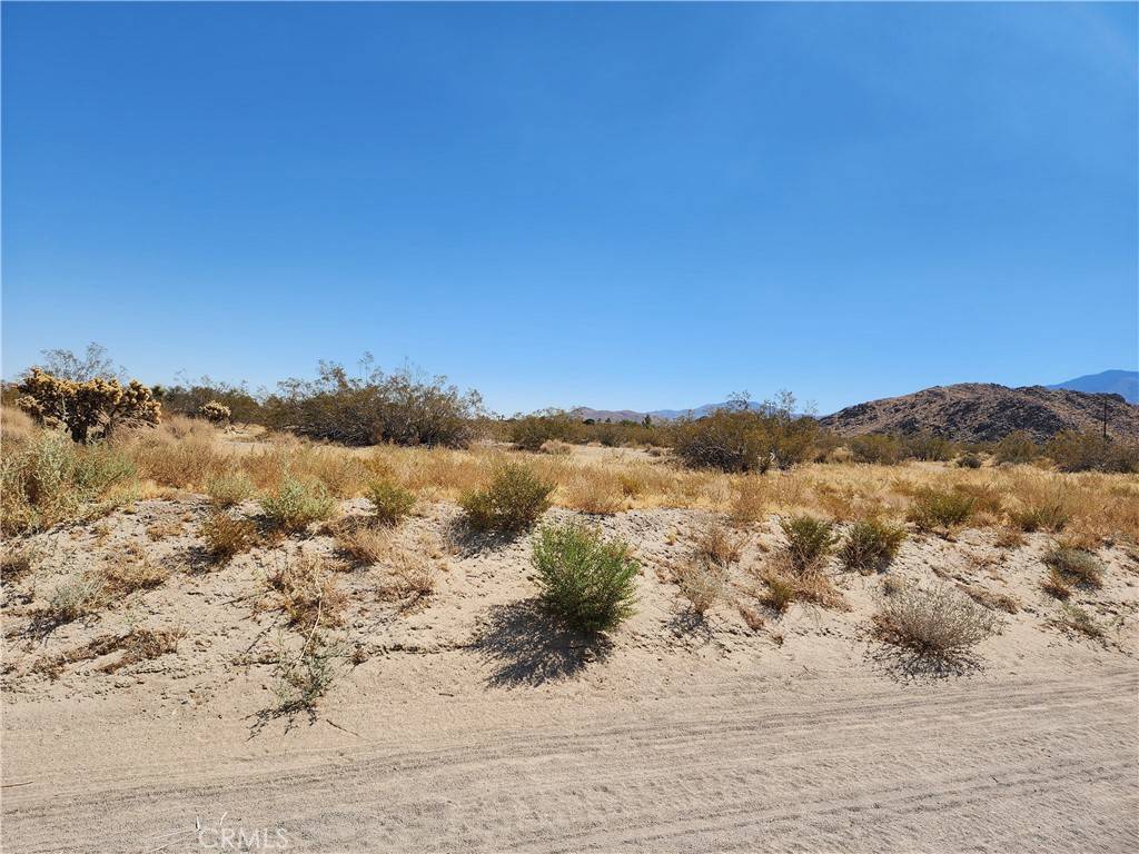 Lucerne Valley, CA 92356,509 Baker RD