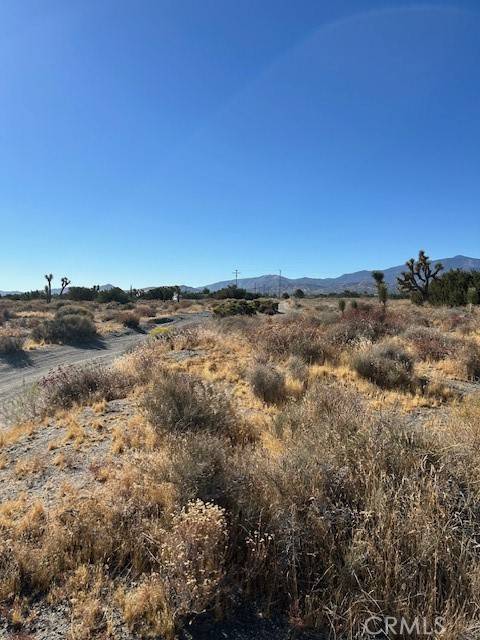 Pinon Hills, CA 92372,0 Beekley RD
