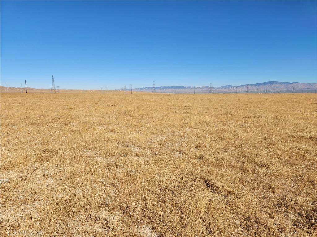 Lancaster, CA 93536,2 Ac Near 45th ST W