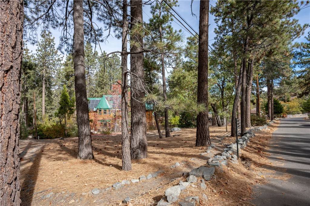 Wrightwood, CA 92397,0 Finch RD