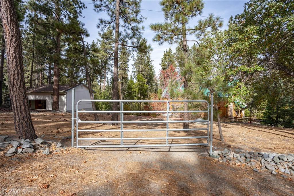 Wrightwood, CA 92397,0 Finch RD