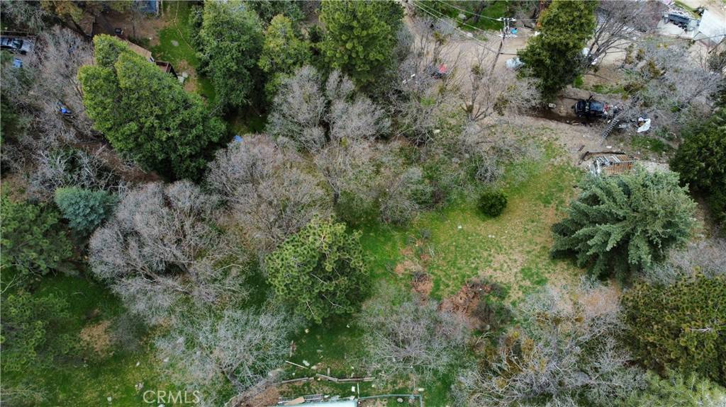 Crestline, CA 92325,703 Scenic View DR