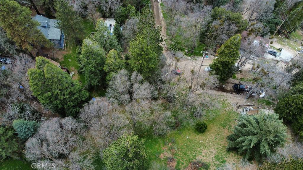 Crestline, CA 92325,703 Scenic View DR