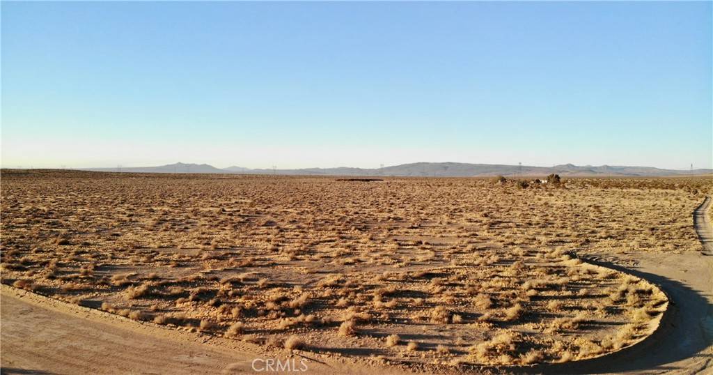 Hinkley, CA 92347,0 Burnt Tree