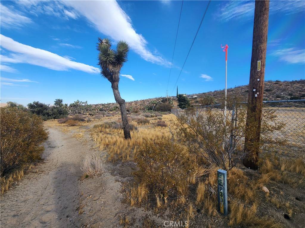 Yucca Valley, CA 92284,164 LOT Joshua LN