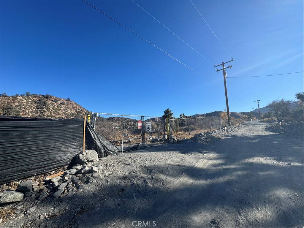 Wrightwood, CA 92397,0 Buckwheat