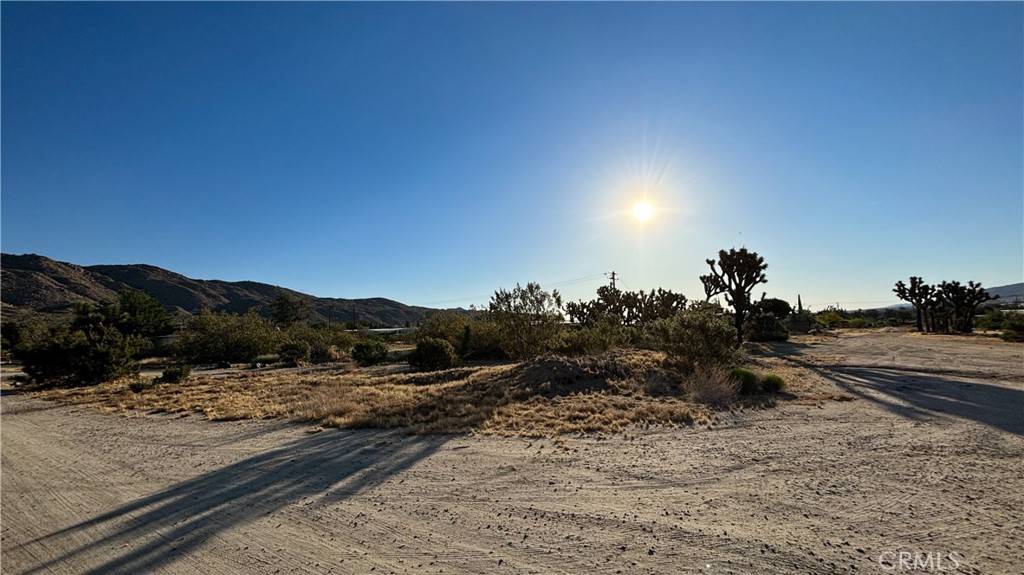 Yucca Valley, CA 92284,703 Scarvan RD