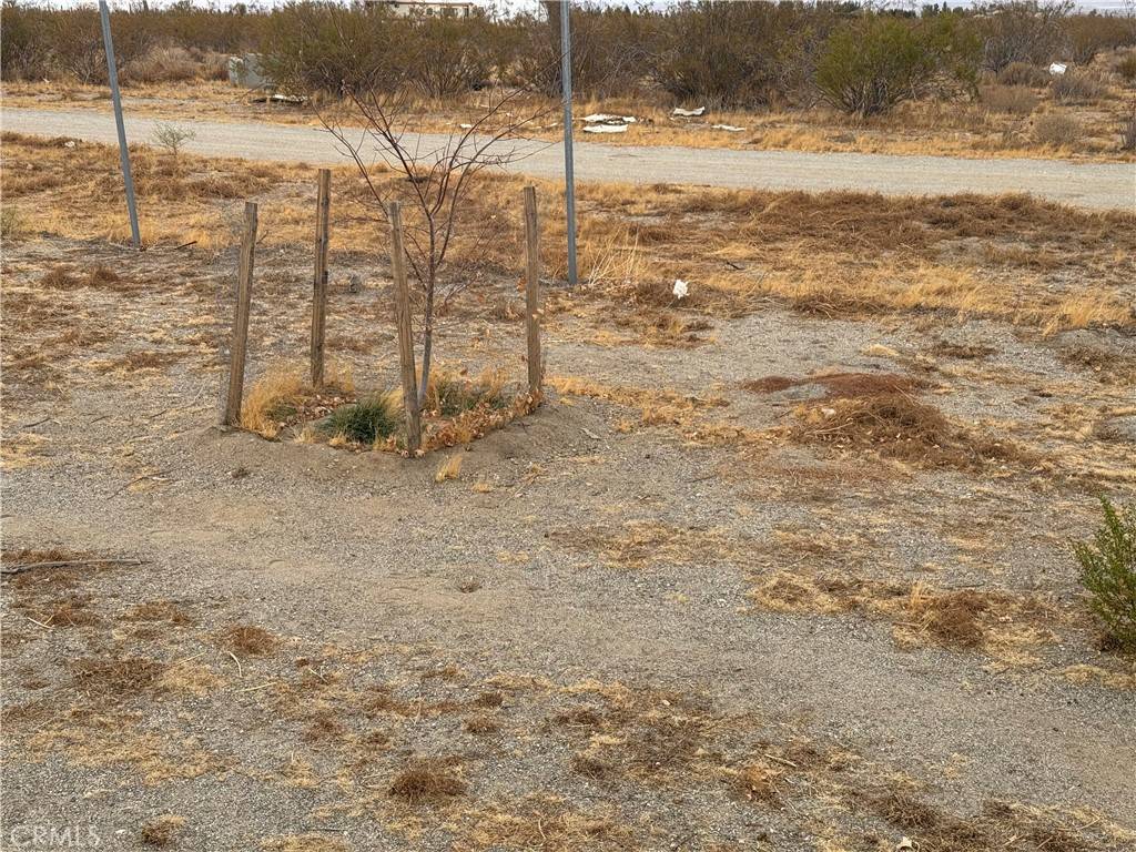 3185 Olivera RD Phelan, CA 92371