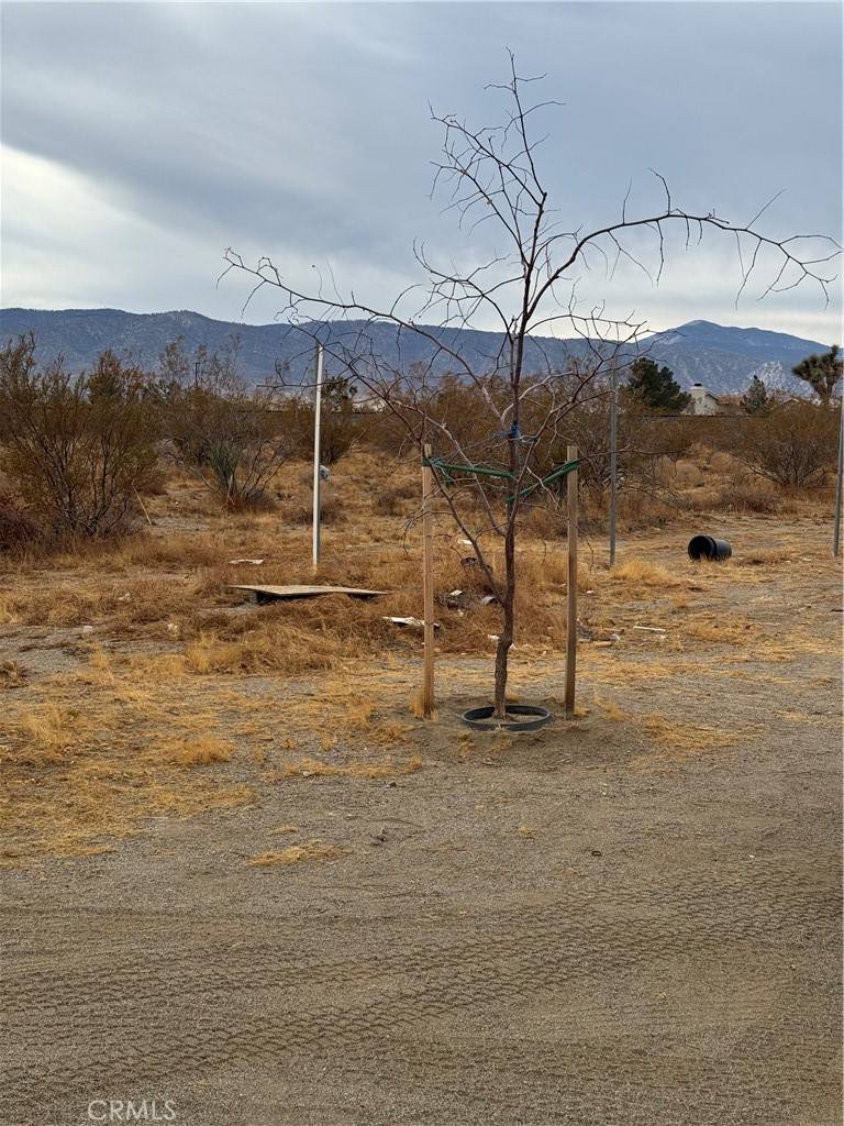 Phelan, CA 92371,3185 Olivera RD