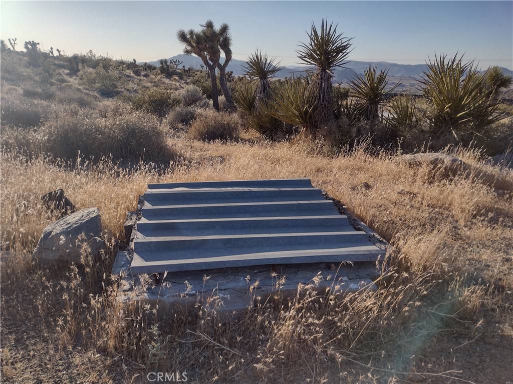 Lucerne Valley, CA 92356,5 Tate LN