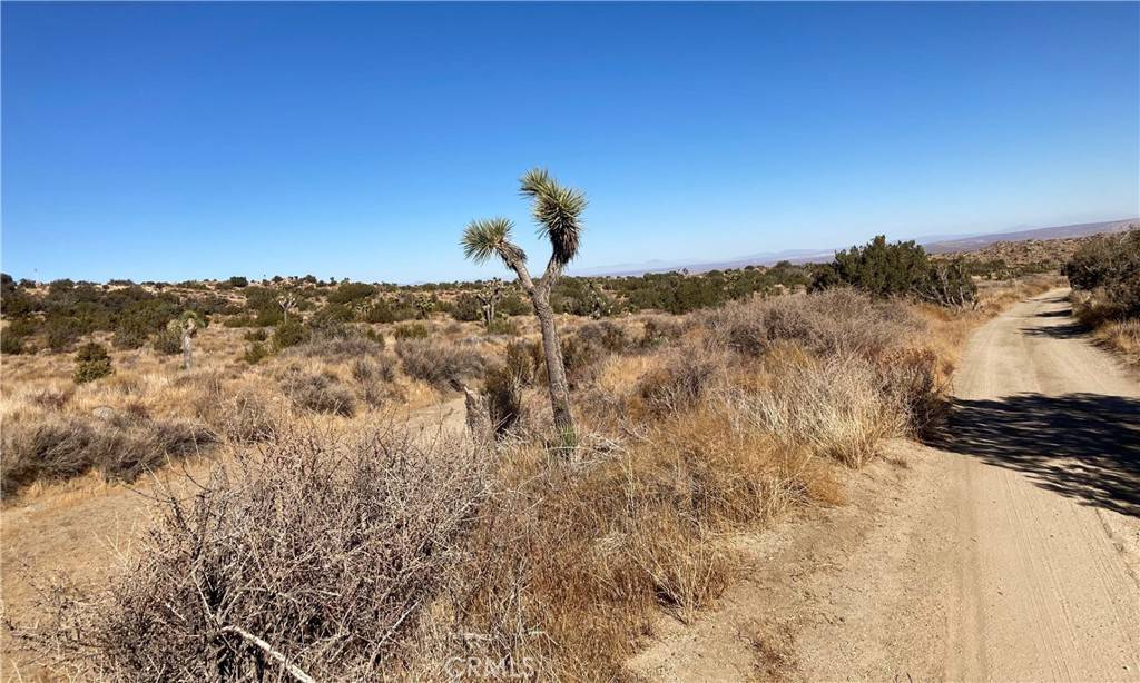 Littlerock, CA 93543,0 96th ST