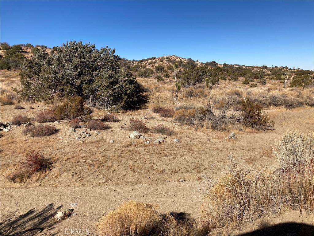 Littlerock, CA 93543,0 96th ST