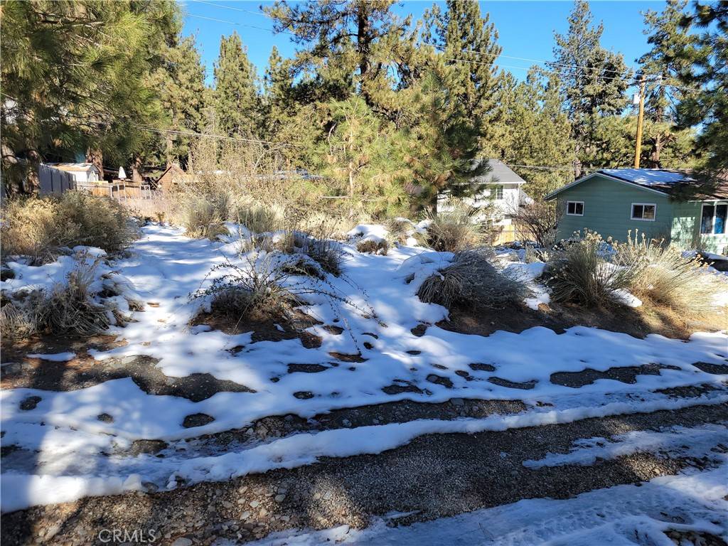 Wrightwood, CA 92397,0 Blackbird