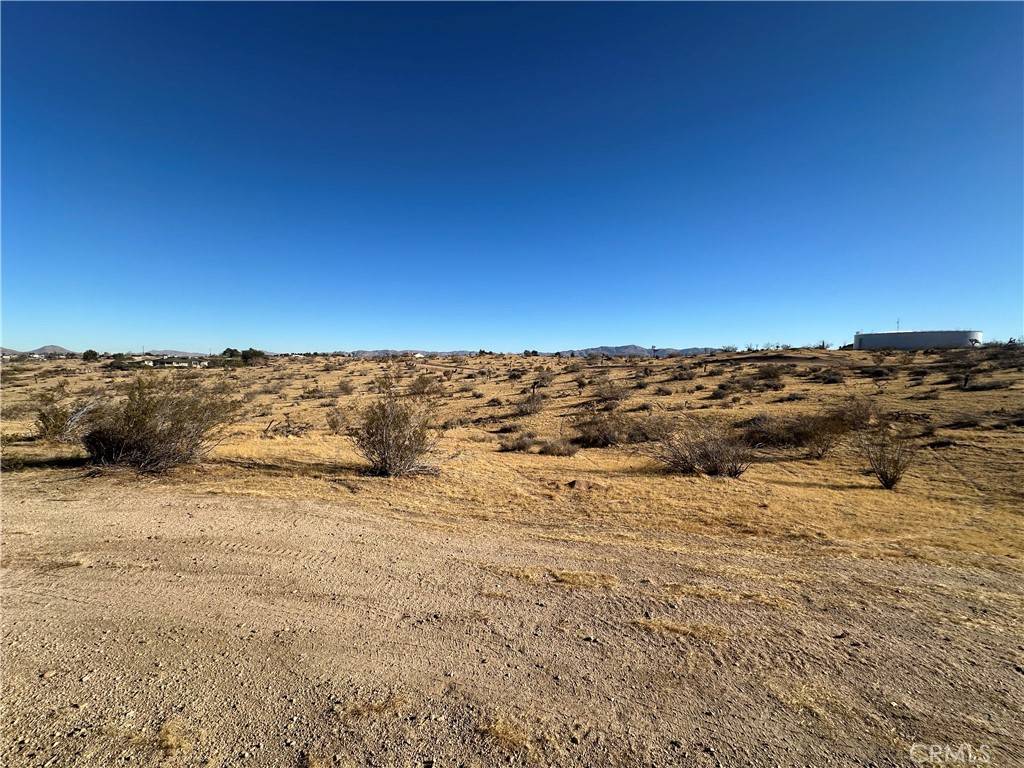Apple Valley, CA 92308,0 Wren