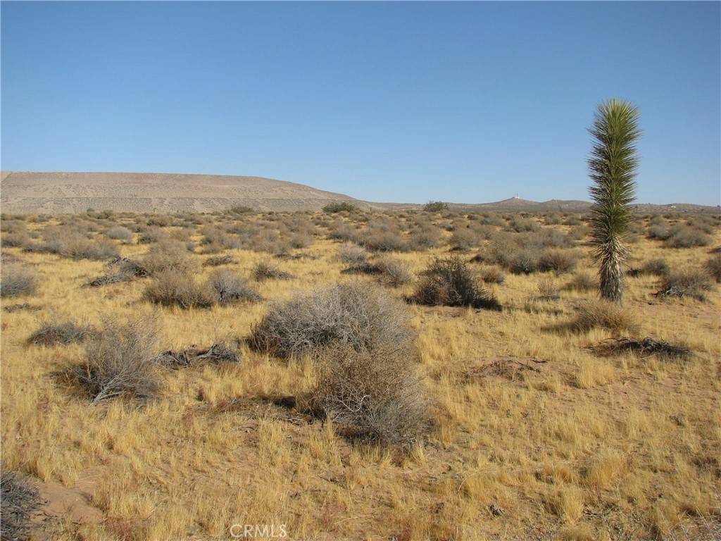 Boron, CA 93516,0 23213103005 RD