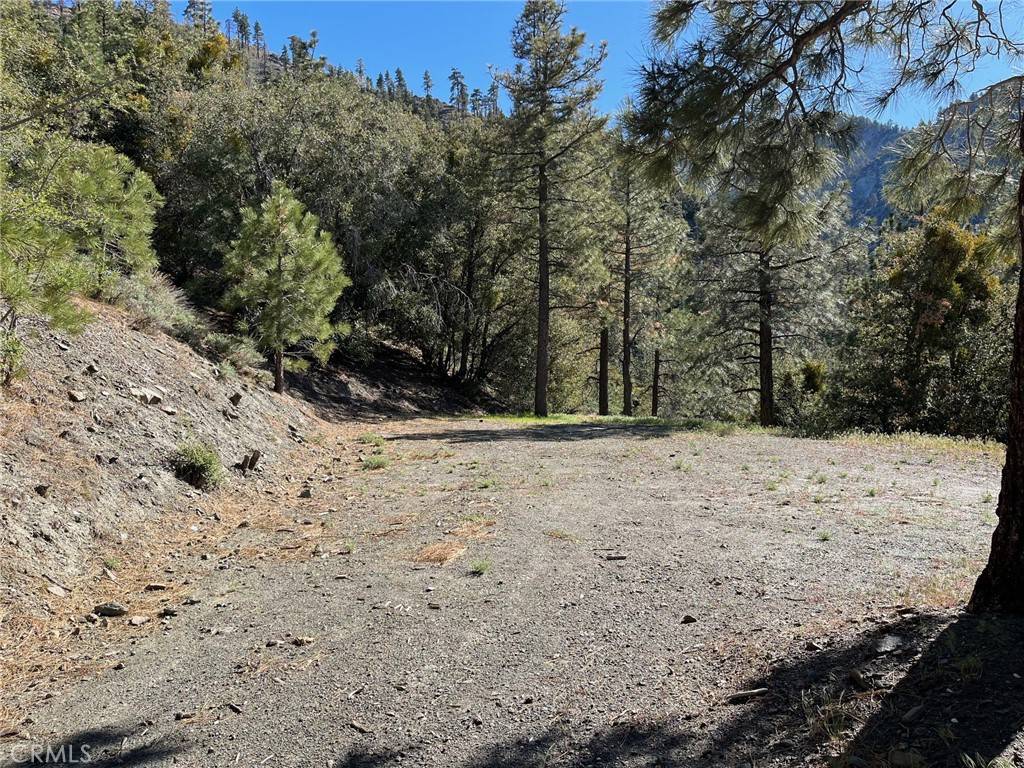 0 Mojave Scenic Drive Wrightwood, CA 92397