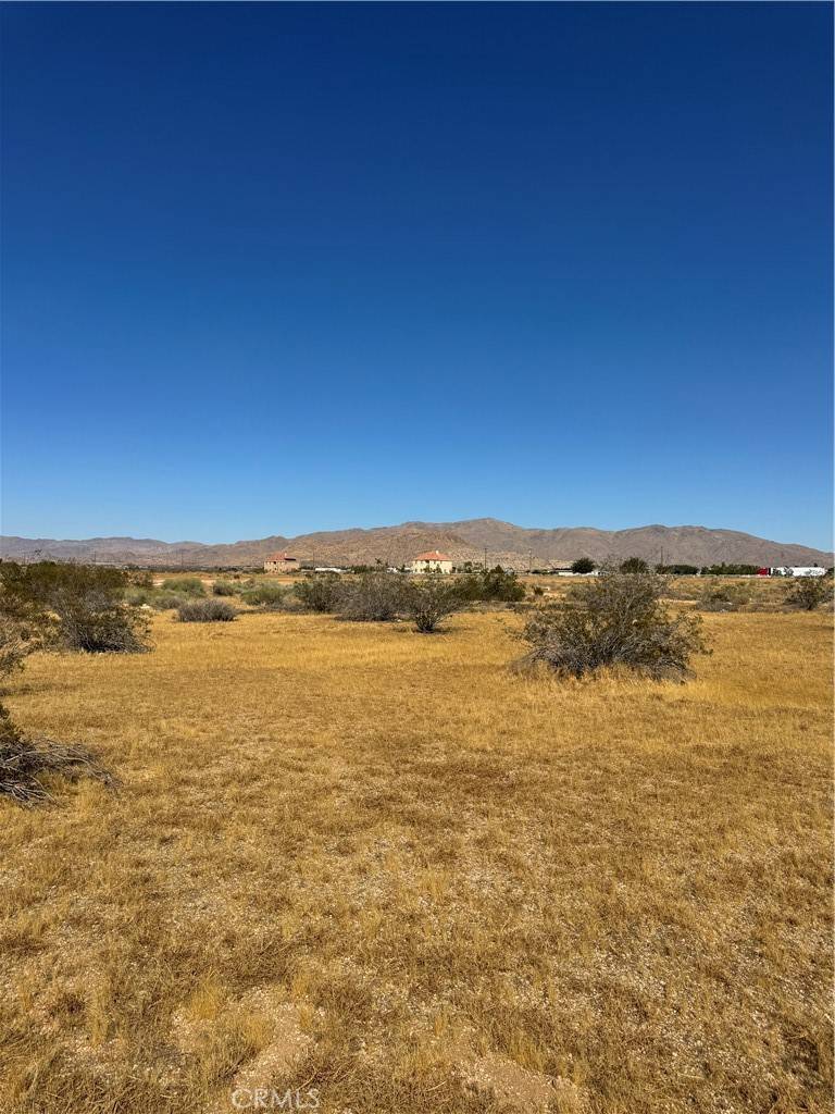 Apple Valley, CA 92308,0 Manzanita